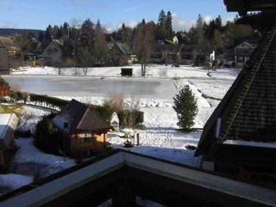 Gaestehaus Lickert Familie Dreher Hinterzarten Extérieur photo