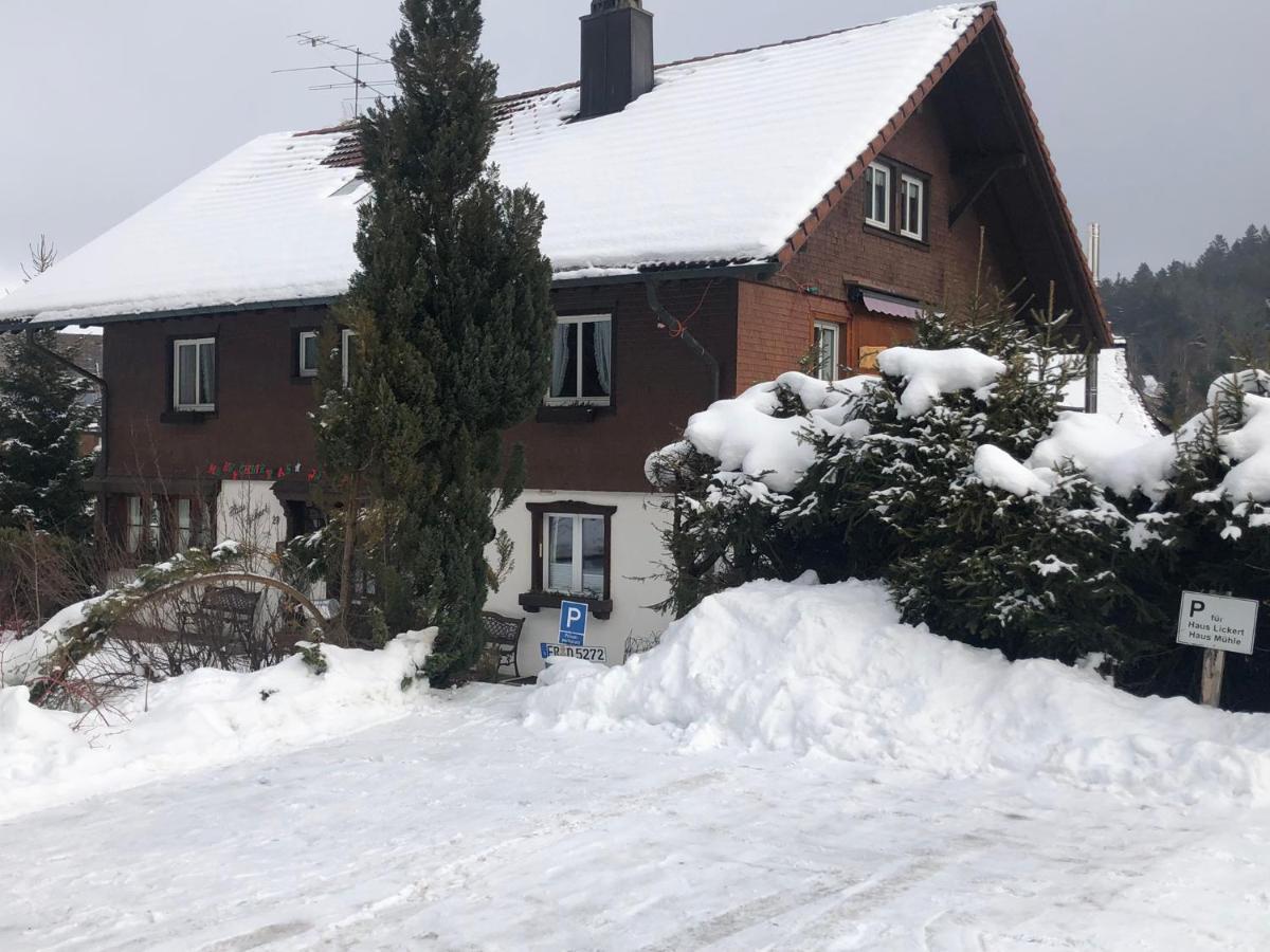 Gaestehaus Lickert Familie Dreher Hinterzarten Extérieur photo