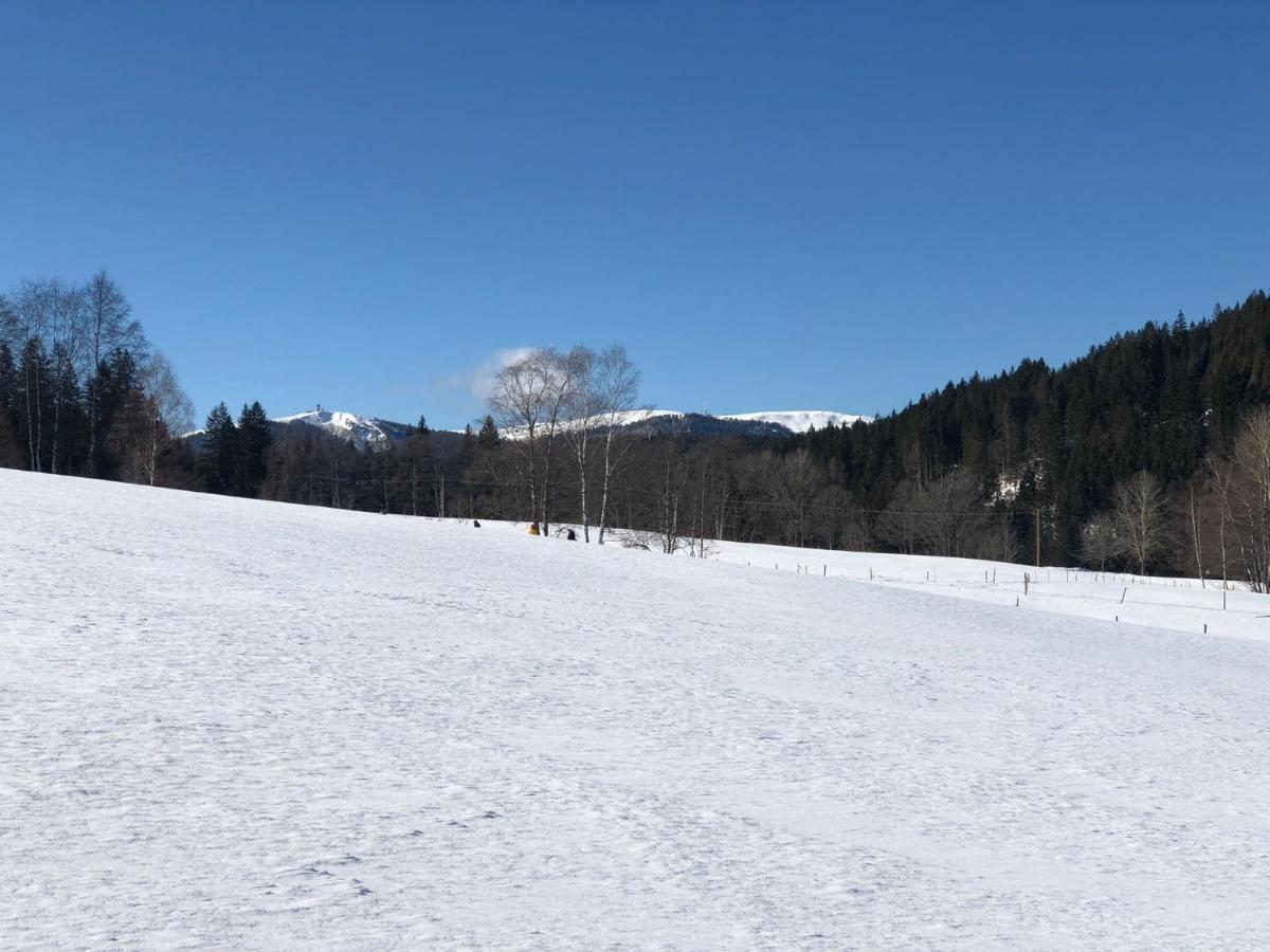 Gaestehaus Lickert Familie Dreher Hinterzarten Extérieur photo